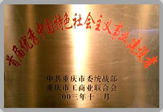 集團(tuán)榮譽(yù)